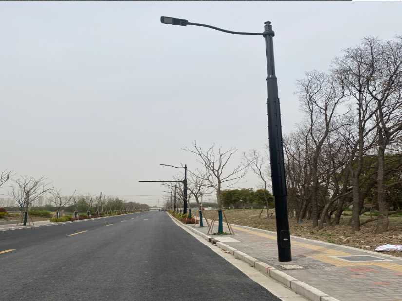 西吉县上海综合杆 太阳能路灯工程